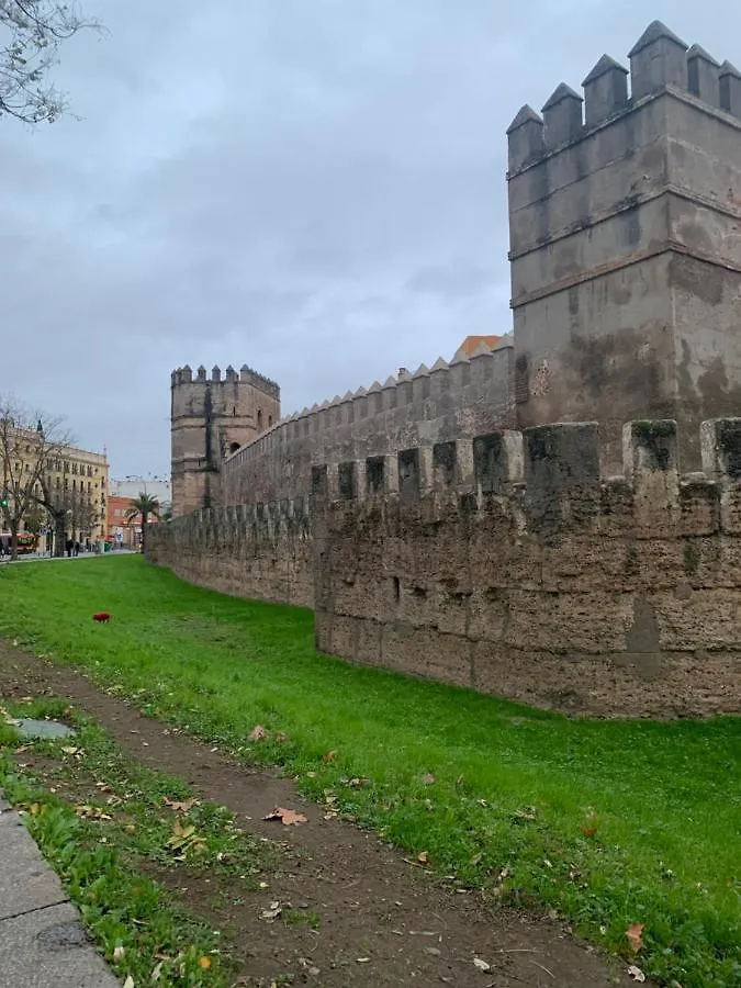 Apartamento Piso Muralla Macarena Sevilla
