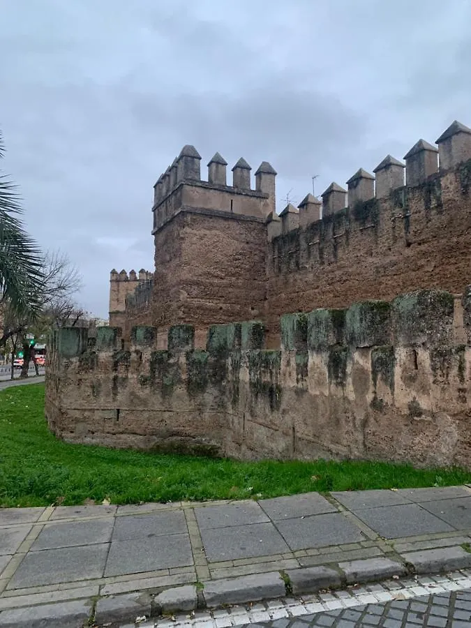 アパート セビリアPiso Muralla Macarenaアパートメント